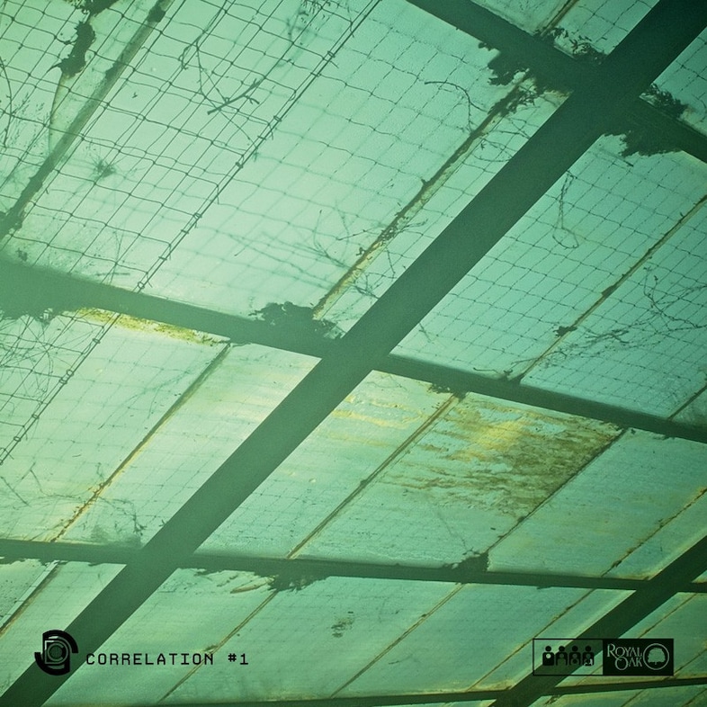 SDC-PETRICHOR