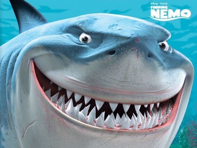 Finding-Nemo-Bruce-the-Shark-Wallpaper-finding-nem