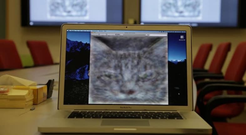 Googles-deep-learning-cat