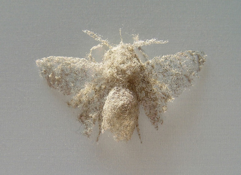 Paul Hazelton Moth-er, 2006, household dust
