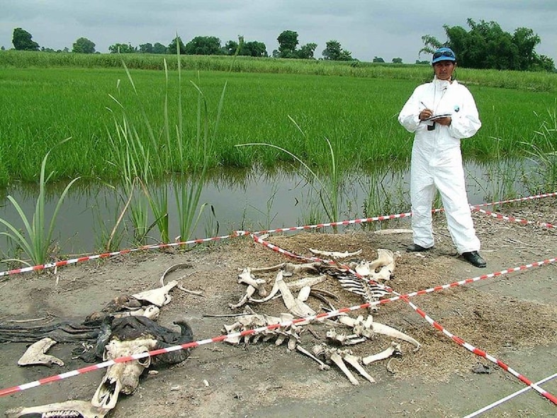 body farm