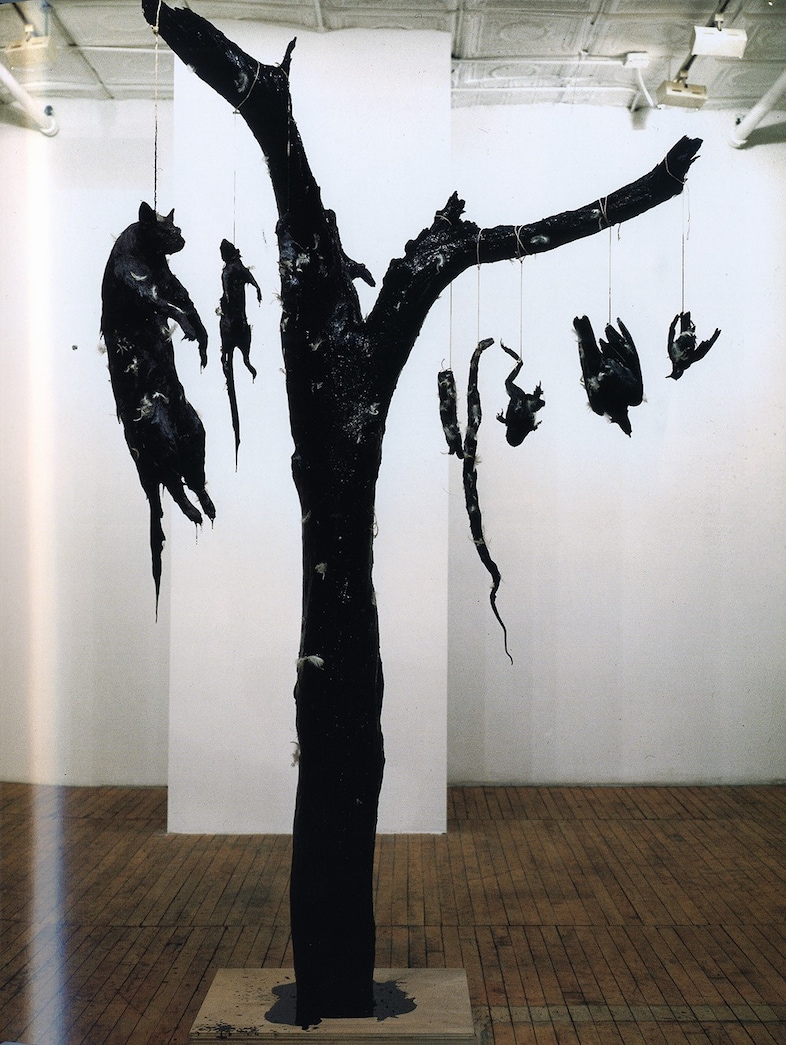 tar and feathers