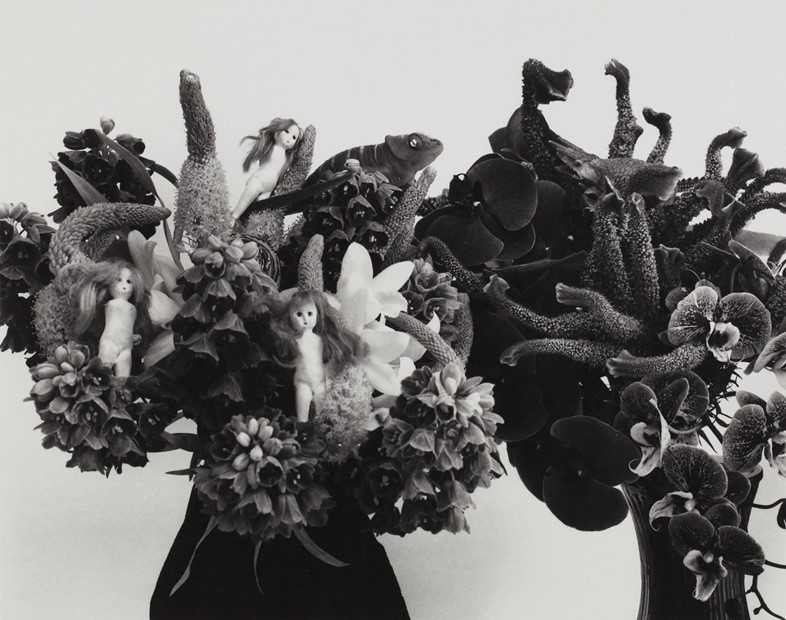 Nobuyoshi Araki's Paradise Prints