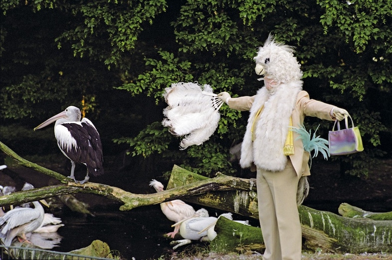 Charming for the Revolution, (2009)