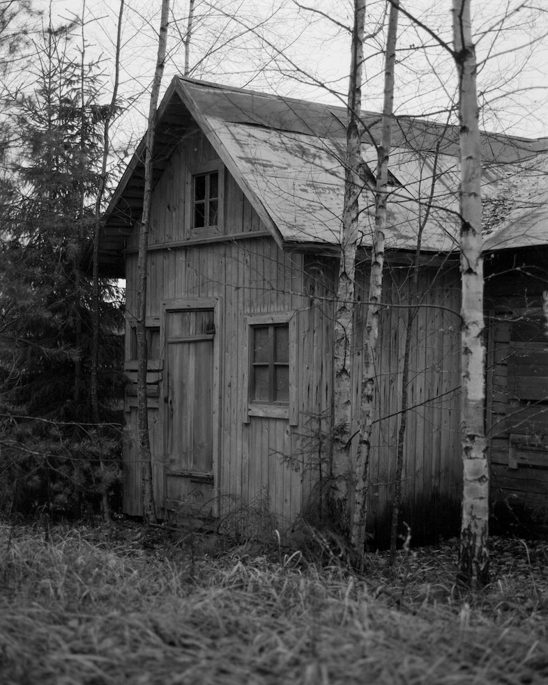 Young Blood, Old Shot 23