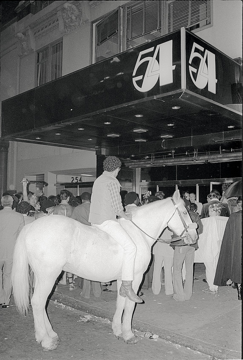 S54_Halloween_Horse