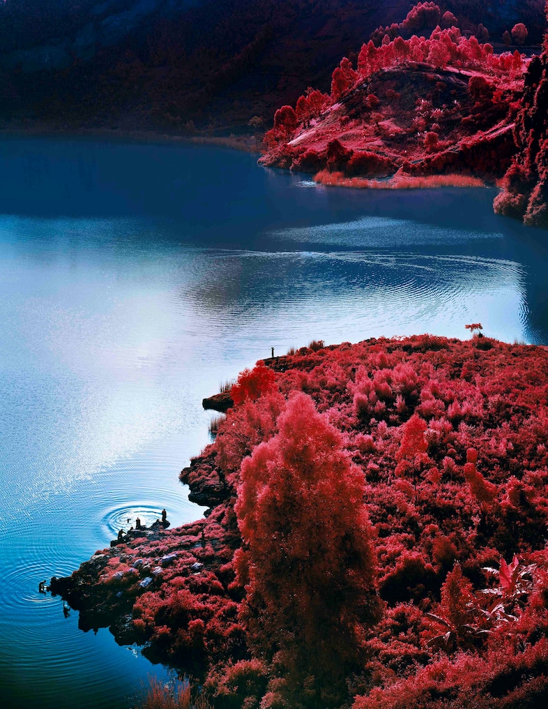Richard Mosse_ Lac Vert_Courtesy Edel Assanti and 0