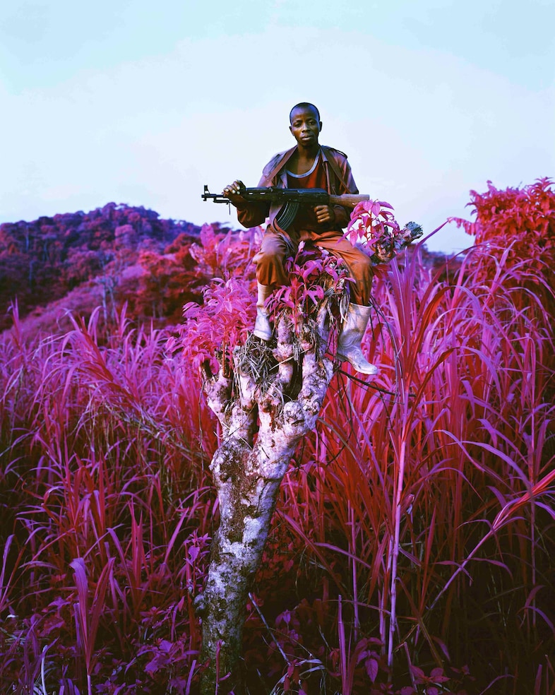 Richard Mosse_Higher Ground_Courtesy Edel Assanti 