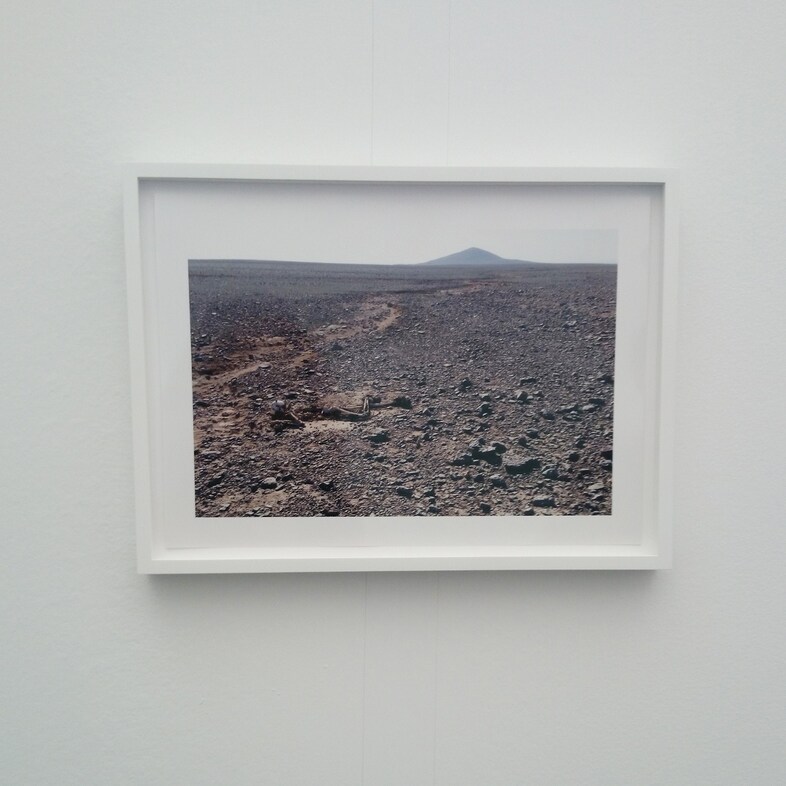 frieze2