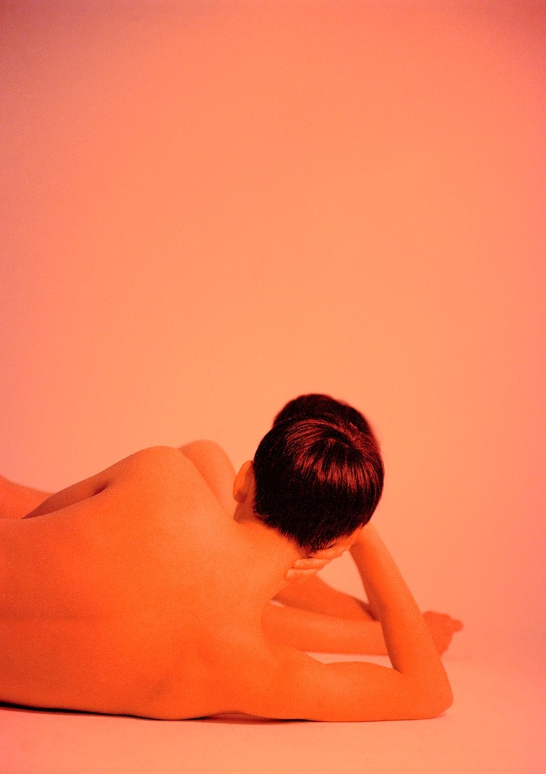 dreams fade out 2013