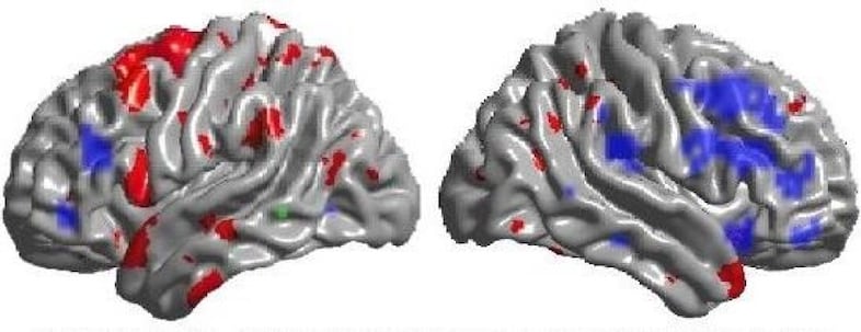 Tetris Brain efficiency