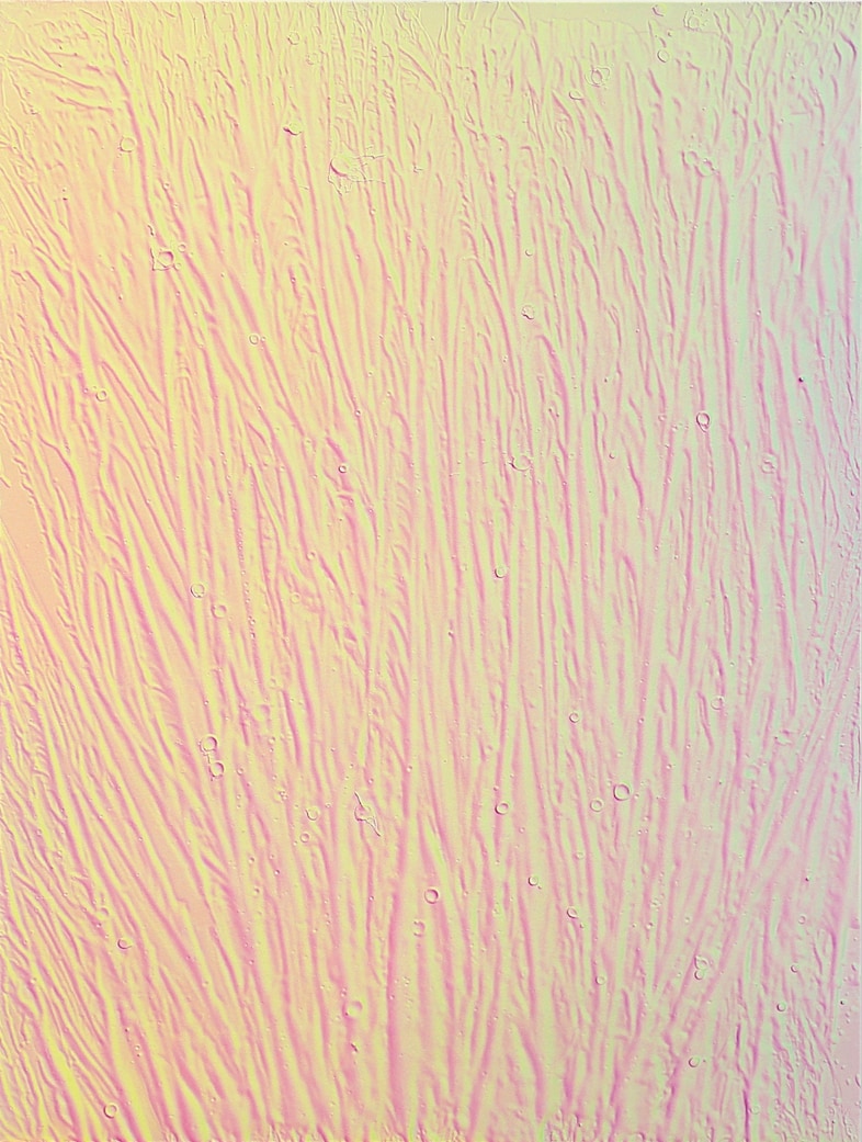 &quot;IMG_885 (holographic)&quot;, 2014 15