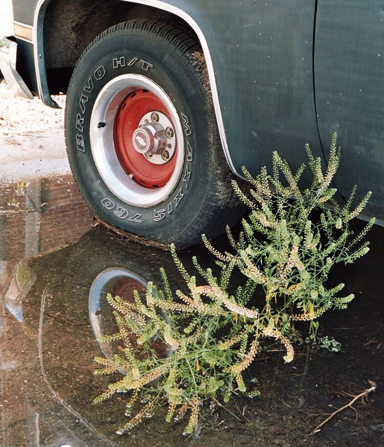 35_Memphis_197 23