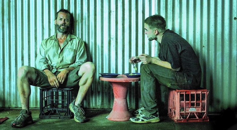 rover-sitting