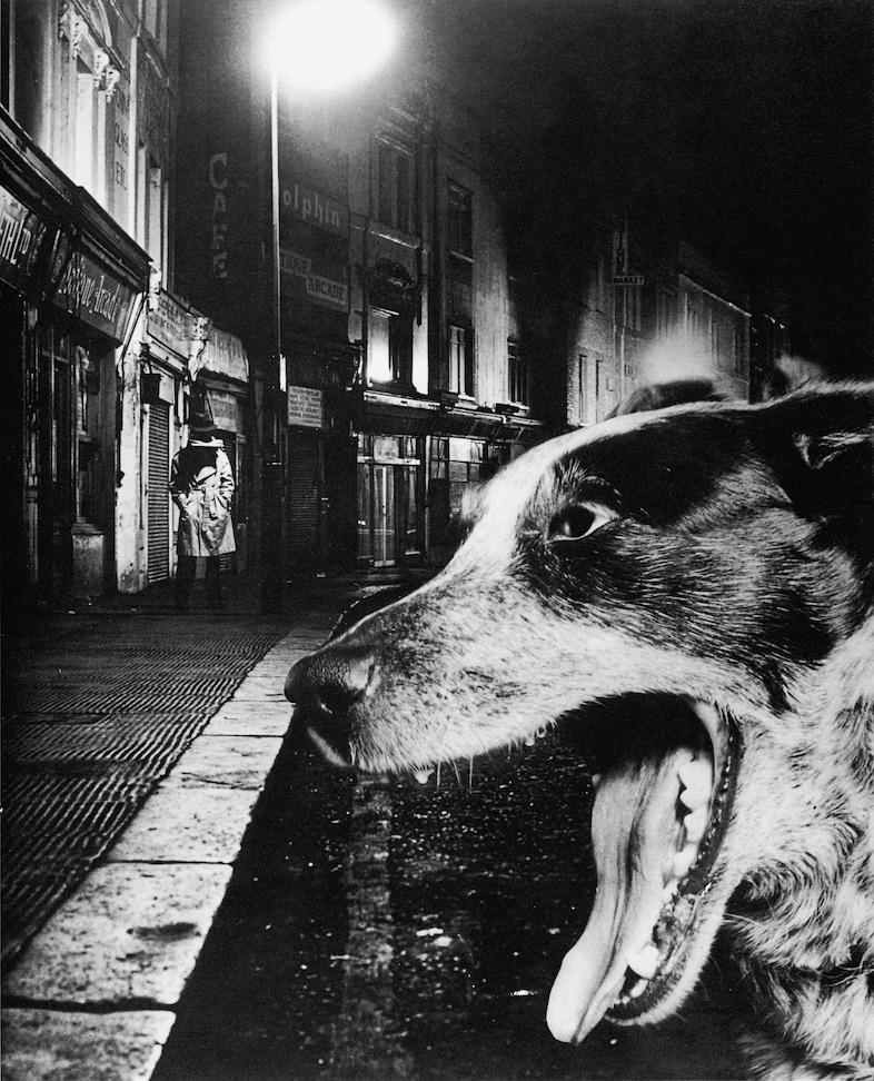 Hipgnosis Portraits 1