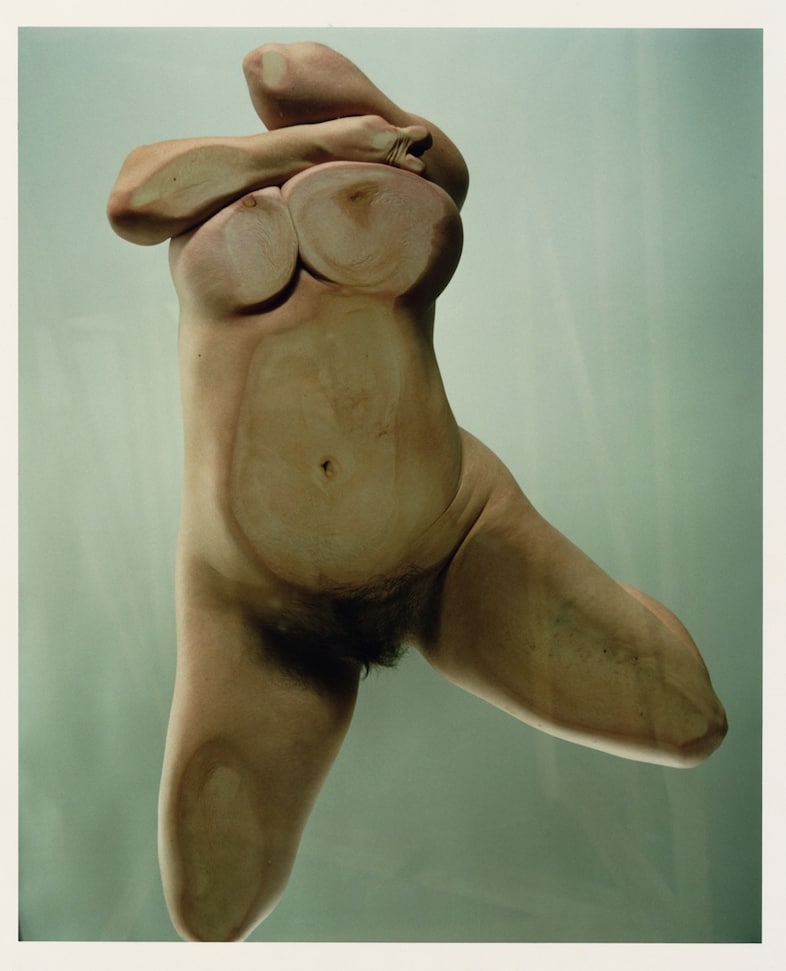 Jenny Saville and Glen Luchford