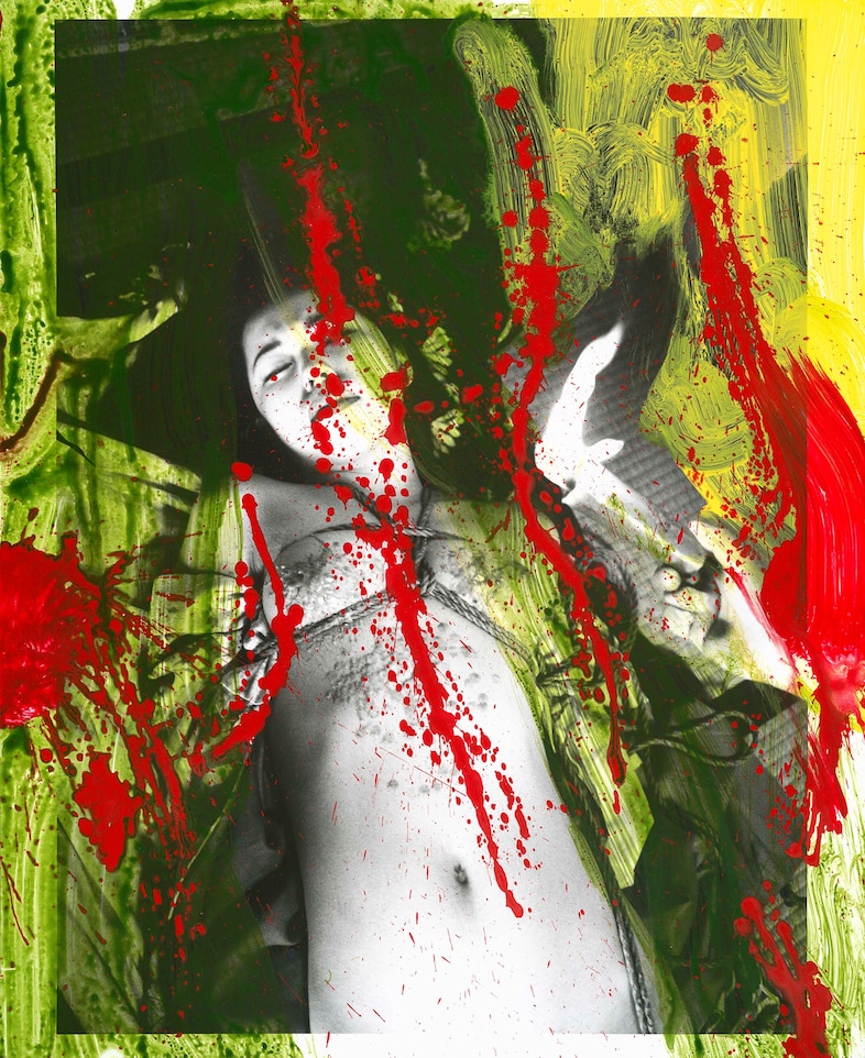 Alluring Hell 2008 C Nobuyoshi Araki 02