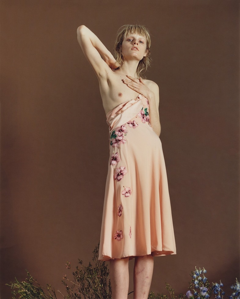 Harley Weir Dazed 100 2