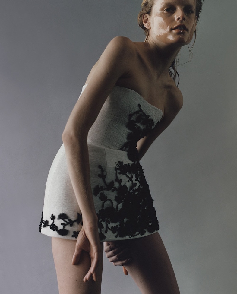Harley Weir Dazed 100 8