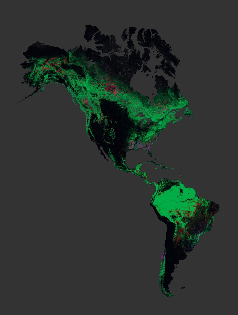 Global forest change 0