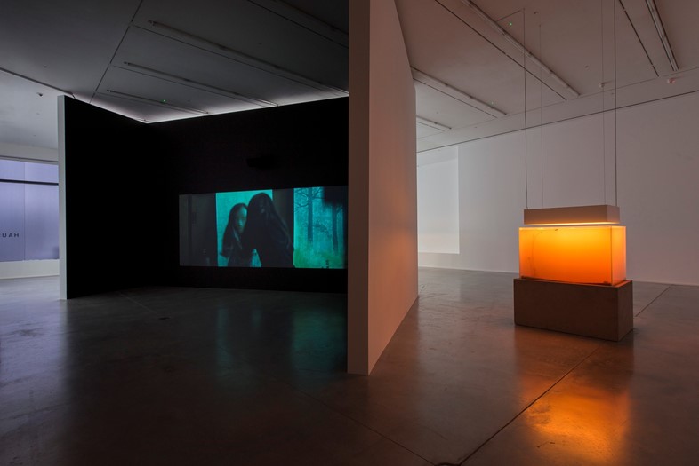 PIERRE HUYGHE AT HAUSER AND WIRTH, SAVILE ROW