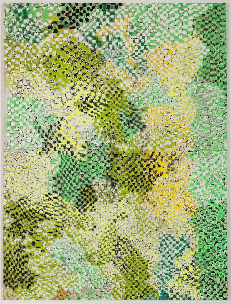 Harmony Korine at the Gagosian 4