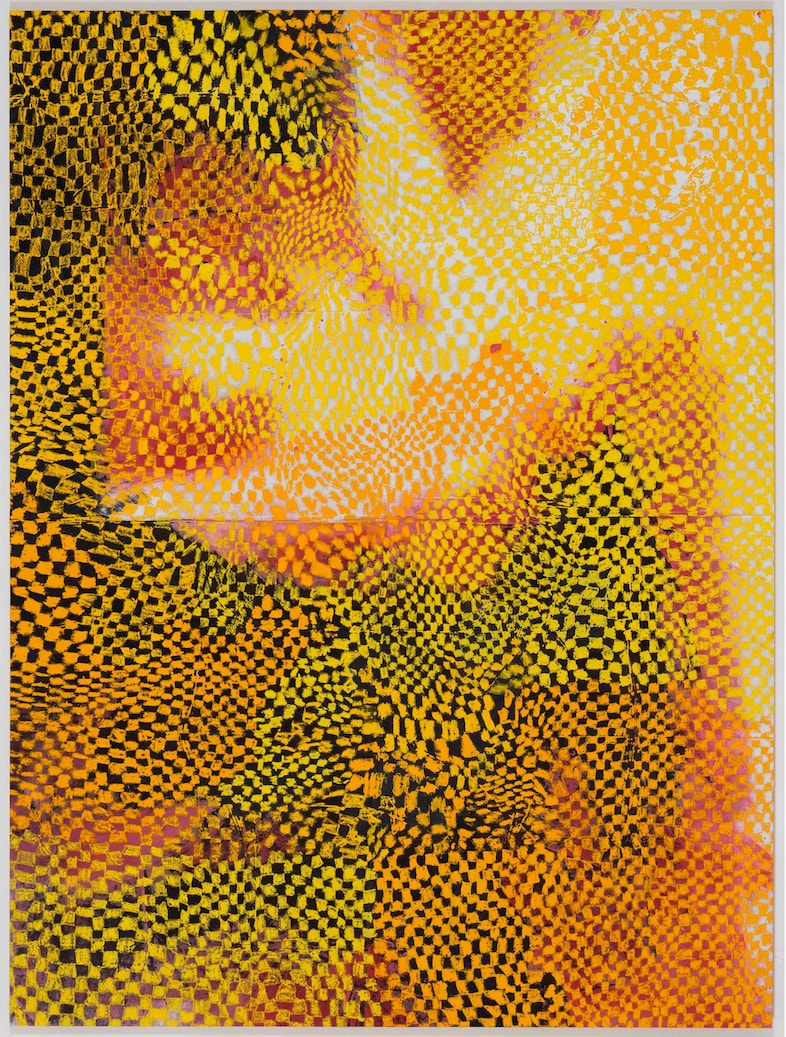 Harmony Korine at the Gagosian 3