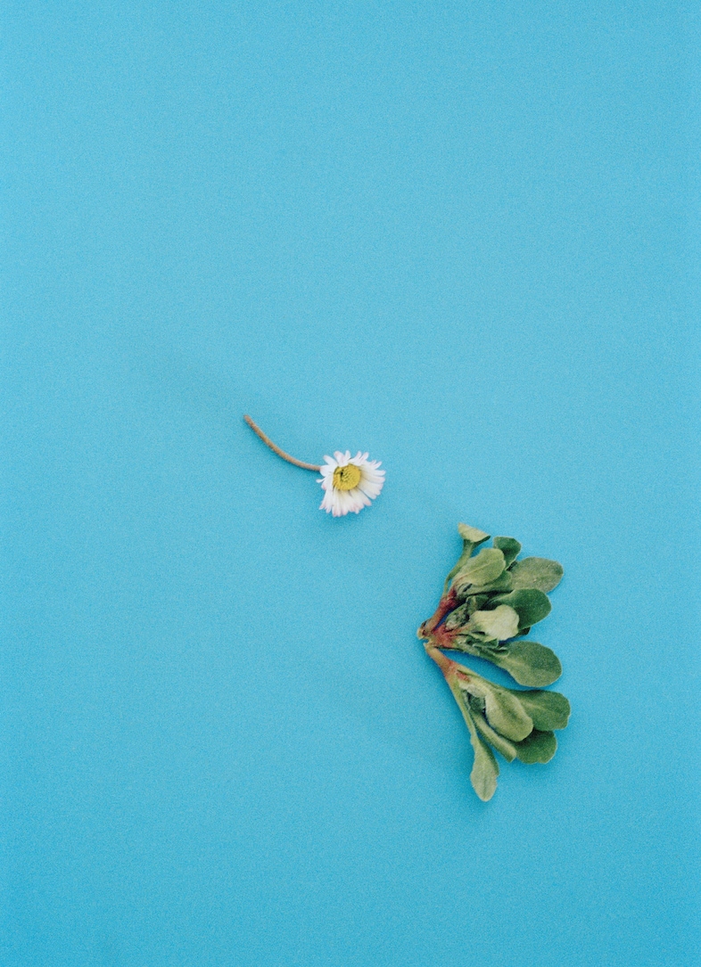 Benjamin Huseby – Weeds &amp; Aliens
