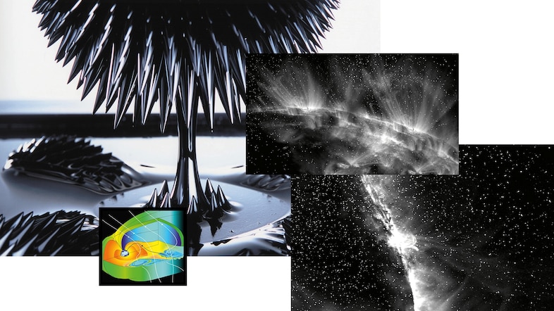 Inside Biophilia