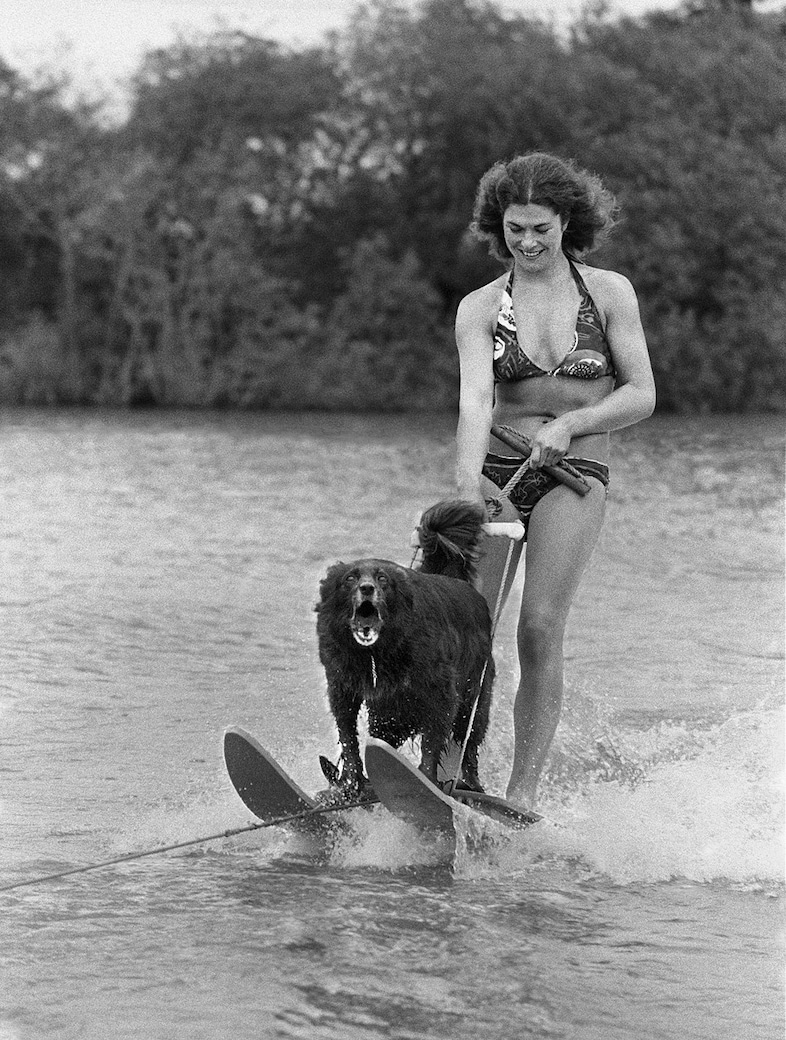 Out on the Lake John Drysdale