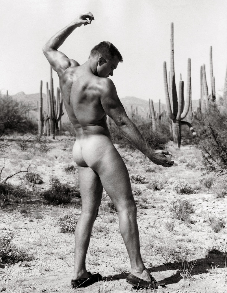 Beefcakes 2