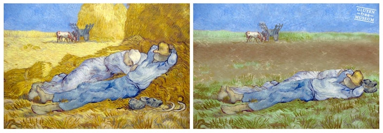 Wheat Fields, Vincent Van Gogh