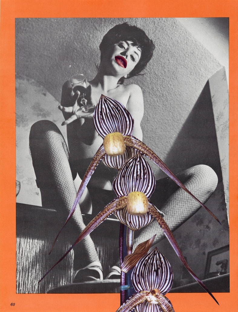 Linder Sterling, Corner House Publishing, Dazed 6
