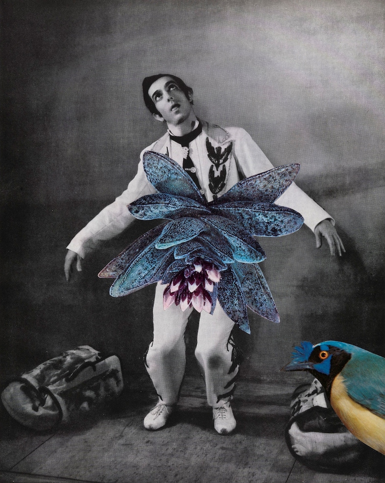 Linder Sterling, Corner House Publishing, Dazed 7