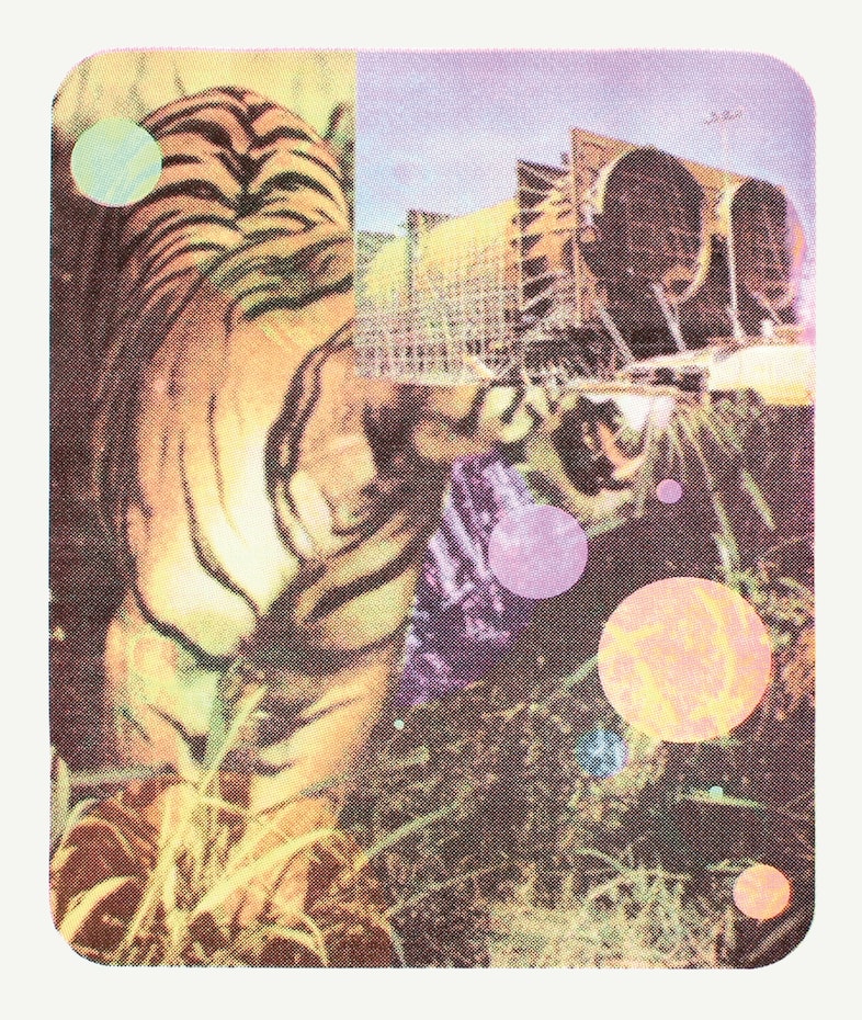 People of Print, Thames &amp; Hudson, Jim O'Raw, Dazed 11