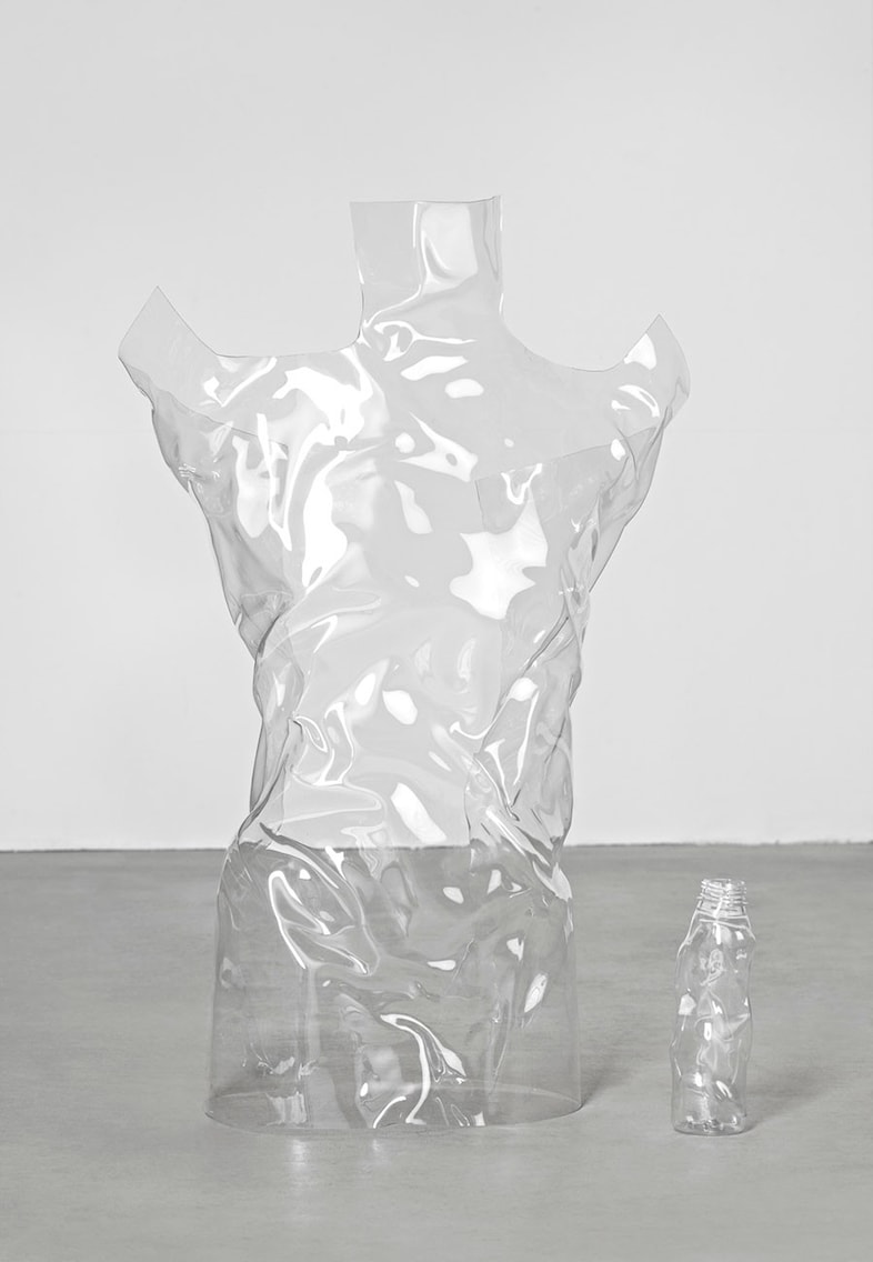 &quot;PET Woman #4&quot;, 2015 