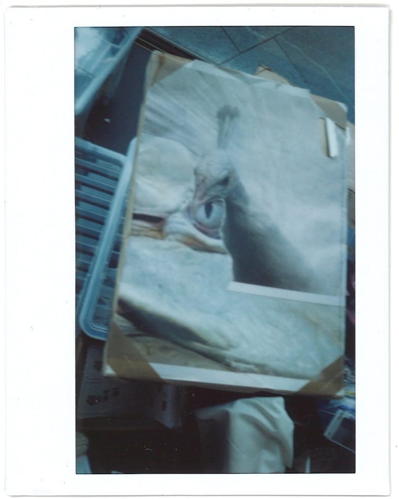 Phoebe English At NOW Installation 11