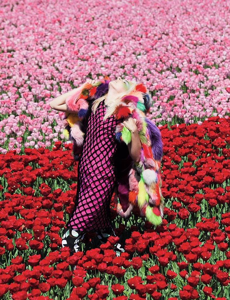 THE GARDEN OF DELIGHT — VIVIANE SASSEN