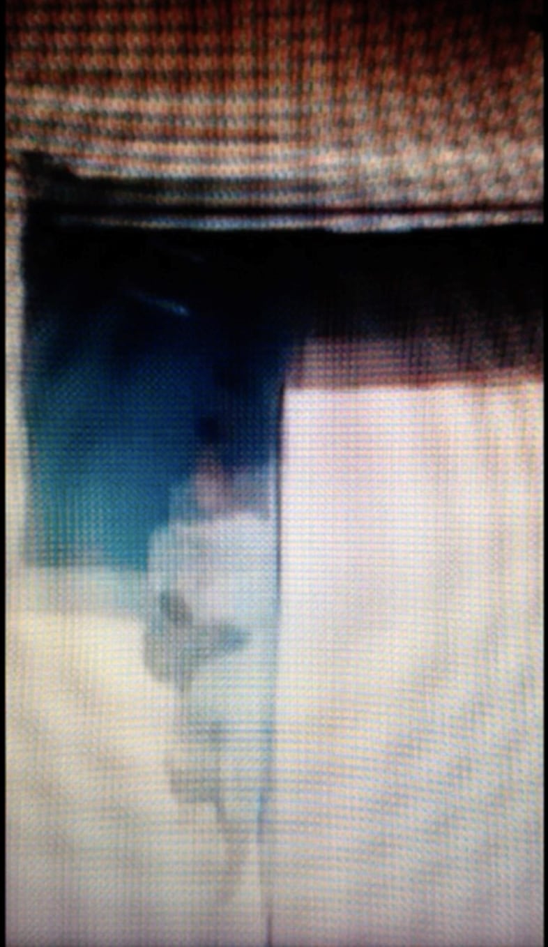 Wilf Speller Fresh Faced + Wild Eyed