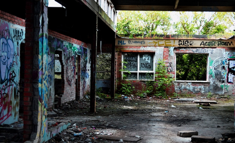 Jaime-Lea Letherland and ILLEGAL TERRITORY