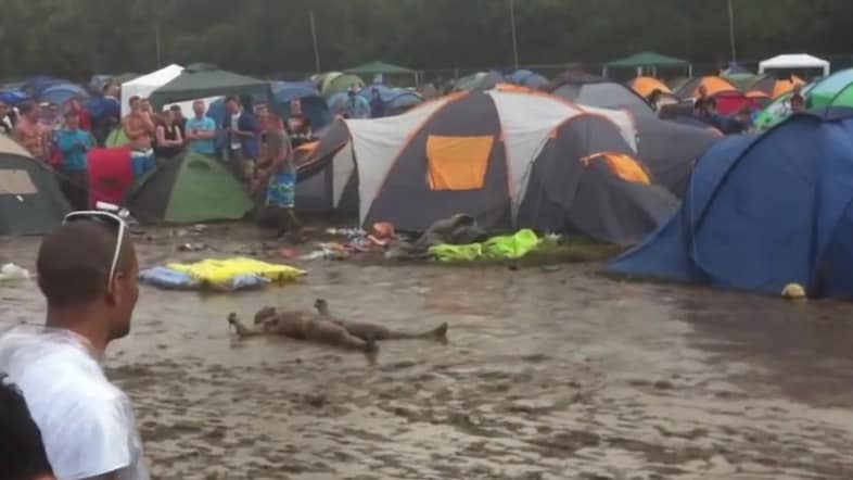 Festival Horror Stories images, Dazed