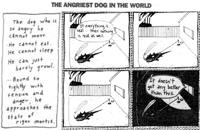 The angriest dog