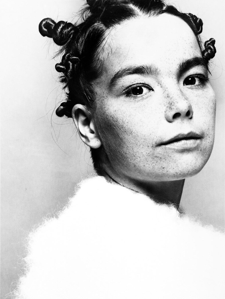 Bjork Glen Luchford, “The Face”, 1993 6