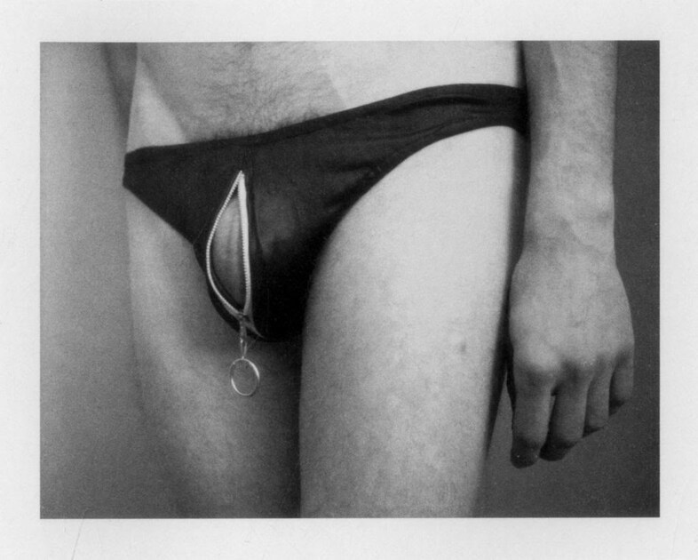 Robert Mapplethorpe, Polarods
