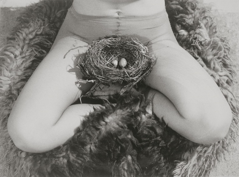 “Nest”, 1979, Birgit J&#252;rgenssen