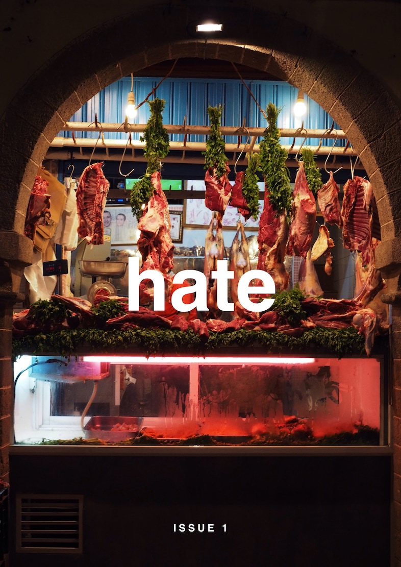 Hate Zine, issue 1