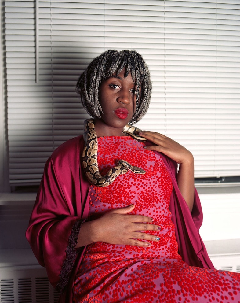 Island Time, Ian Lewandowski 2