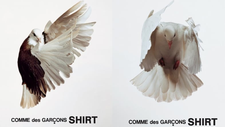 Comme des Gar&#231;ons Shirt 