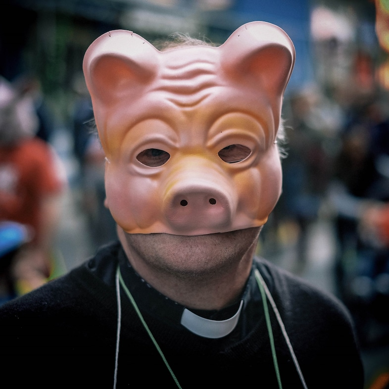 pig protest
