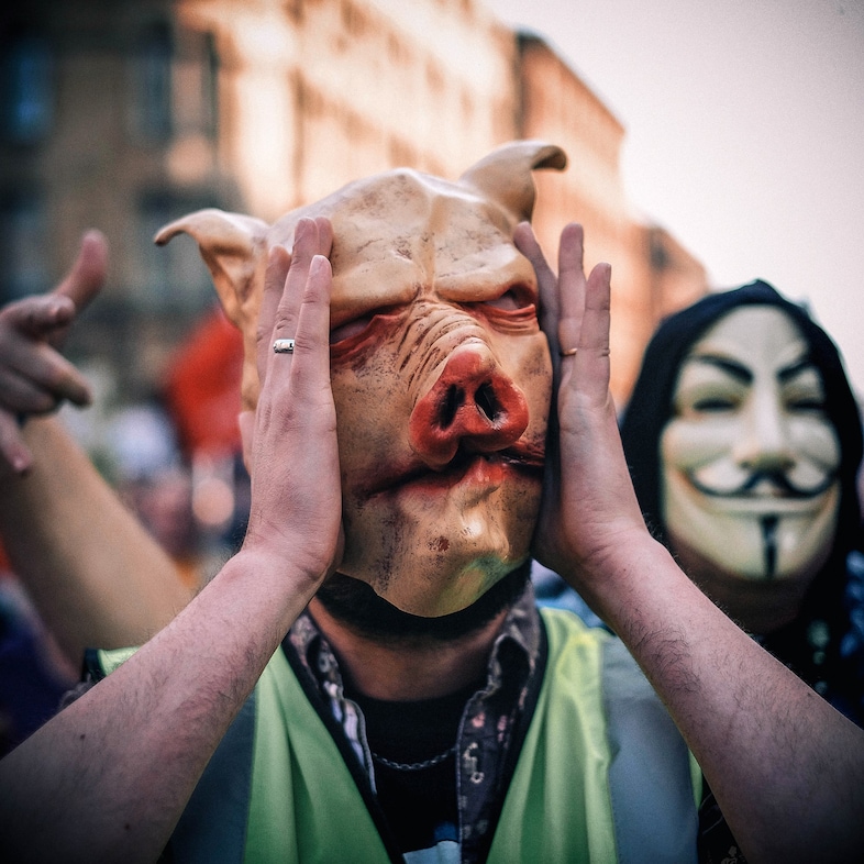 pig protest
